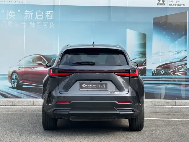 Lexus NX — Фото автомобиля 8