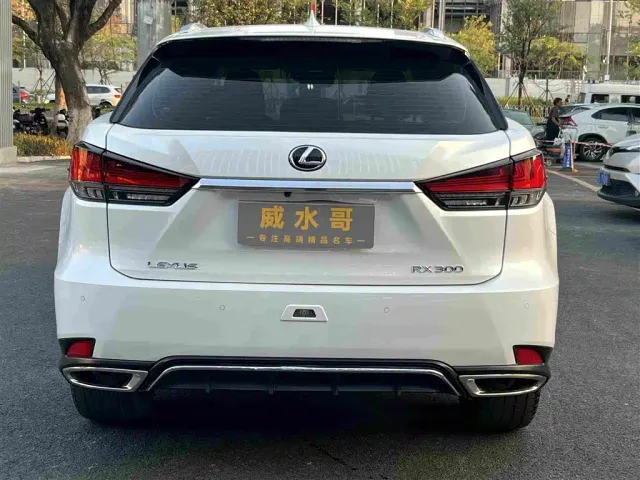 Lexus RX — Фото автомобиля 6