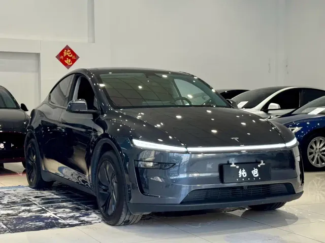 Tesla Model Y — Фото автомобиля 3