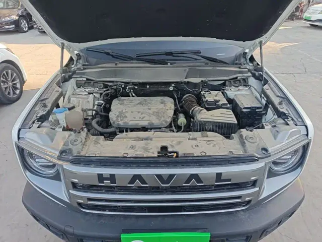 Haval Big Dog — Фото автомобиля 19