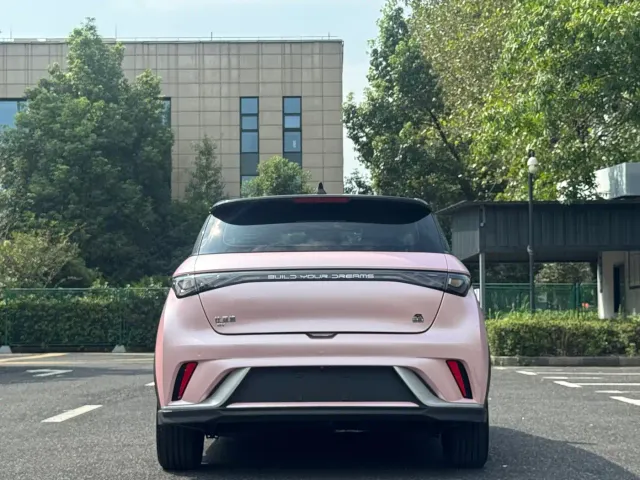BYD Dolphin — Фото автомобиля 12