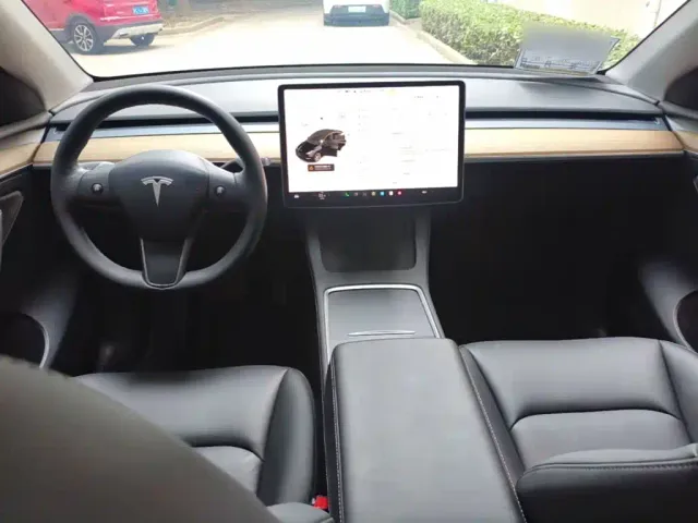 Tesla Model Y — Фото автомобиля 9