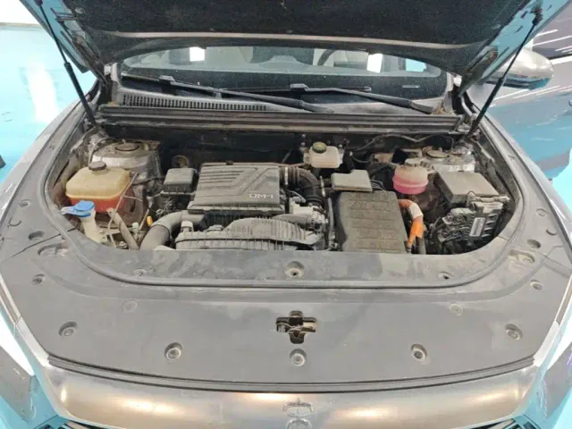 BYD Song Pro — Фото автомобиля 19