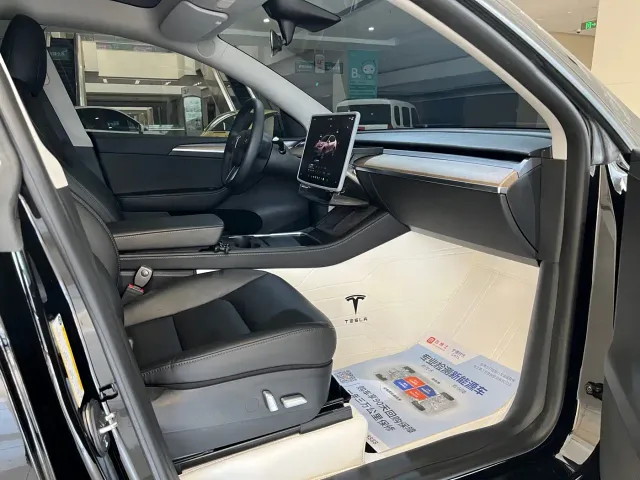 Tesla Model Y — Фото автомобиля 11