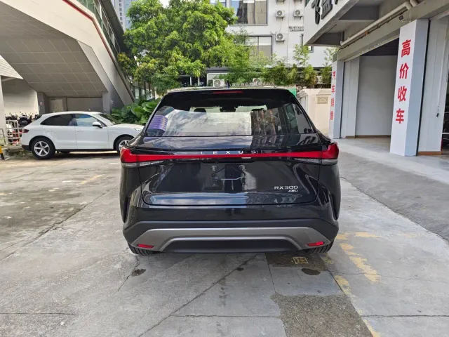 Lexus RX — Фото автомобиля 9