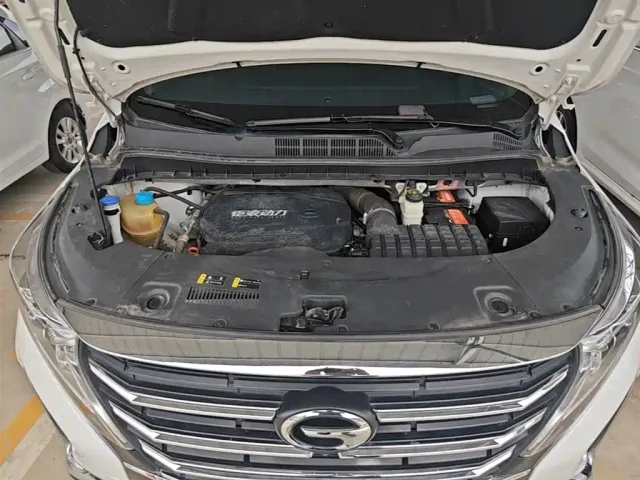 GAC Trumpchi M8 — Фото автомобиля 19
