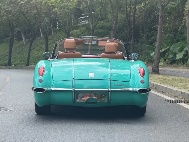 SONGSAN MOTORS SS DOLPHIN — Фото автомобиля 6