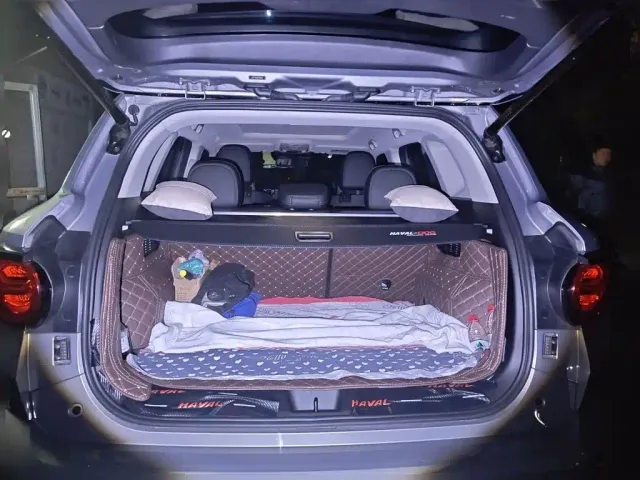Haval Big Dog — Фото автомобиля 15