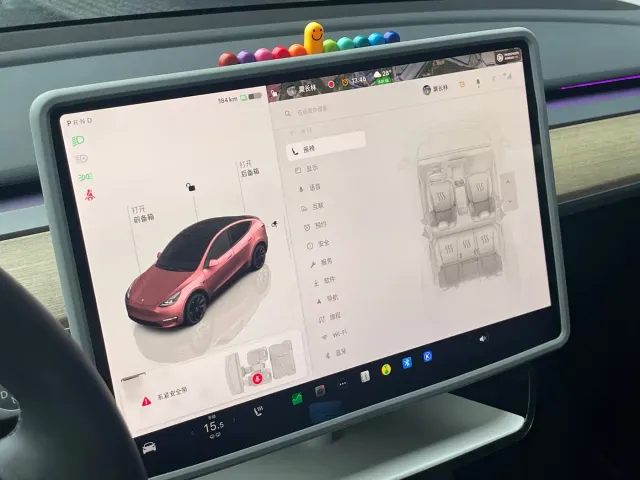Tesla Model Y — Фото автомобиля 18