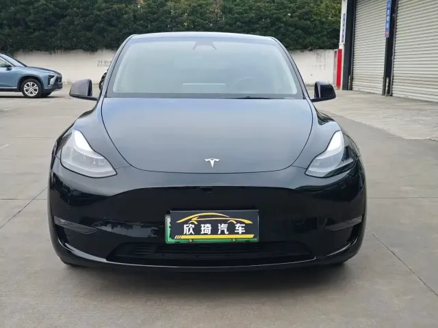 Tesla Model Y — Фото автомобиля 2