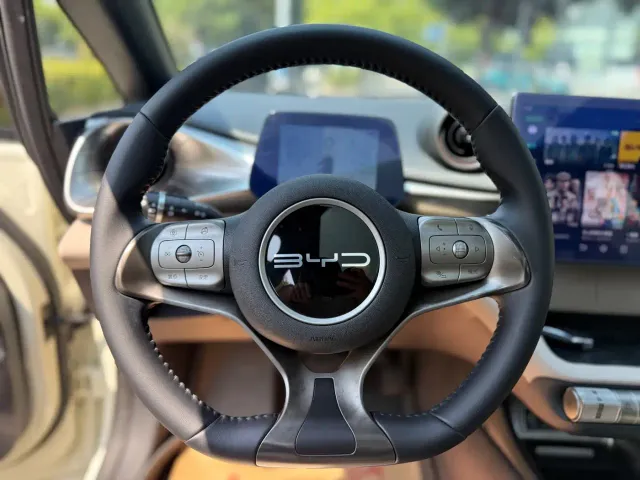 BYD Dolphin — Фото автомобиля 11