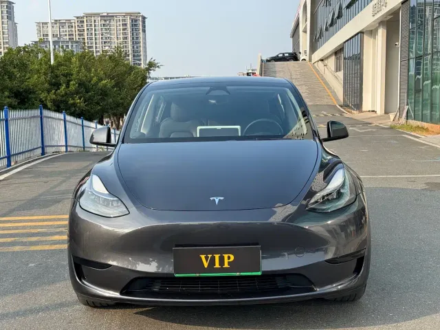 Tesla Model Y — Фото автомобиля 2