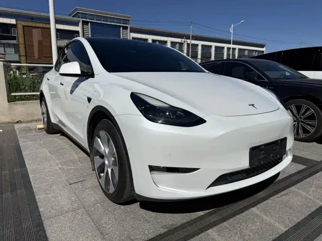 Tesla Model Y — Фото автомобиля 3