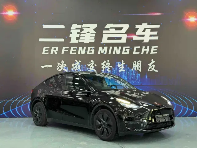 Tesla Model Y — Фото автомобиля 3