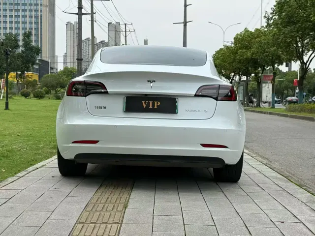 Tesla Model 3 — Фото автомобиля 8