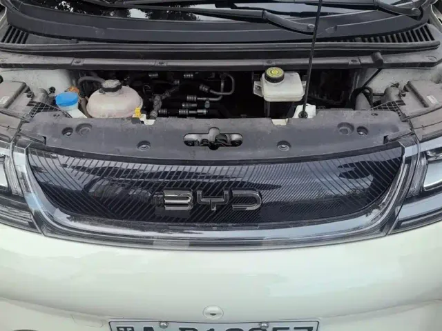 BYD Dolphin — Фото автомобиля 10