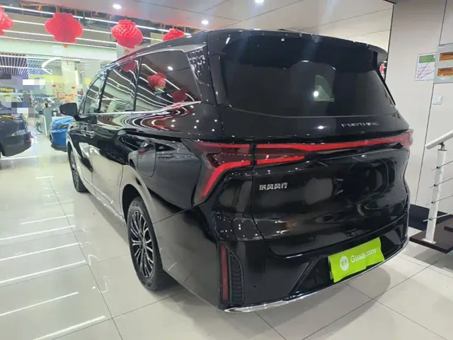 Forthing Xinghai V9 — Фото автомобиля 4