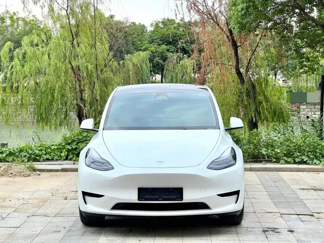 Tesla Model Y — Фото автомобиля 2