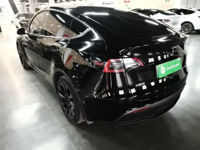 Tesla Model Y — Фото автомобиля 4