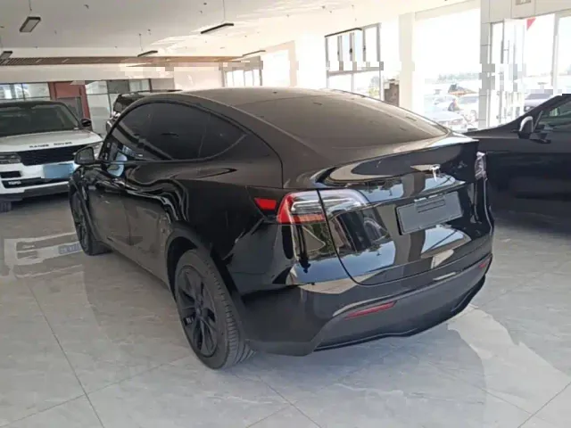 Tesla Model Y — Фото автомобиля 4
