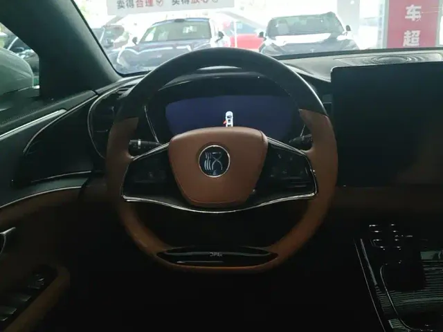 BYD Han — Фото автомобиля 15