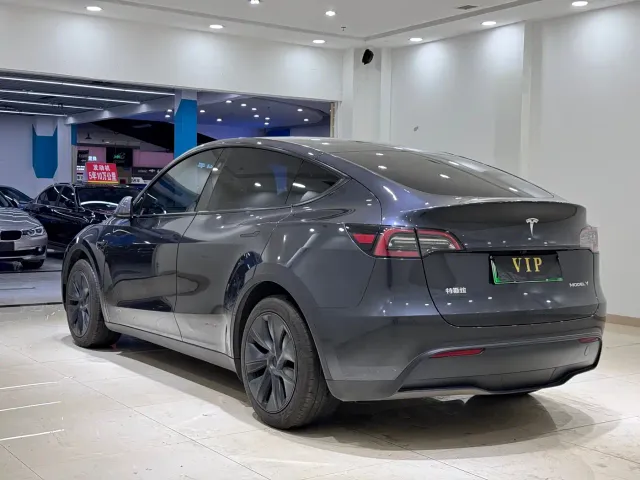 Tesla Model Y — Фото автомобиля 5