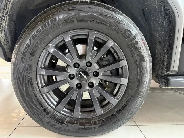 BYD FangChengBao Leopard 5 — Фото автомобиля 10