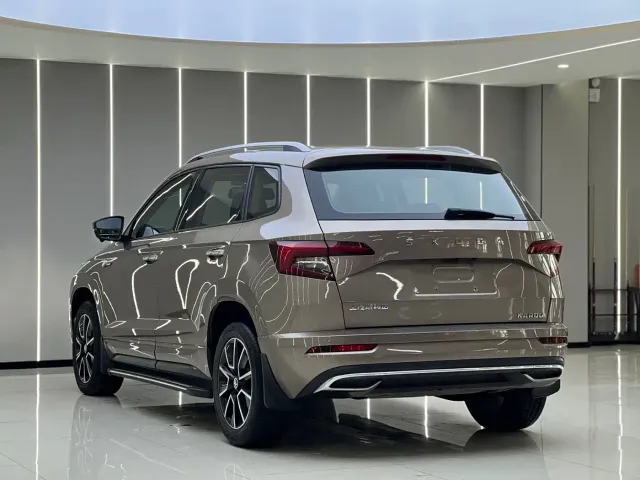 Skoda Karoq — Фото автомобиля 18