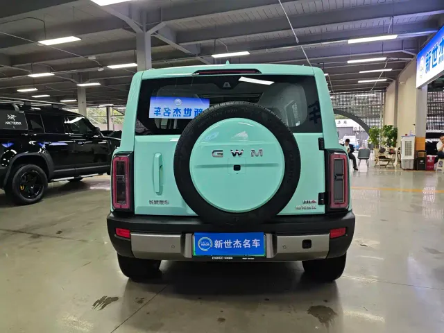 Haval Raptor — Фото автомобиля 16