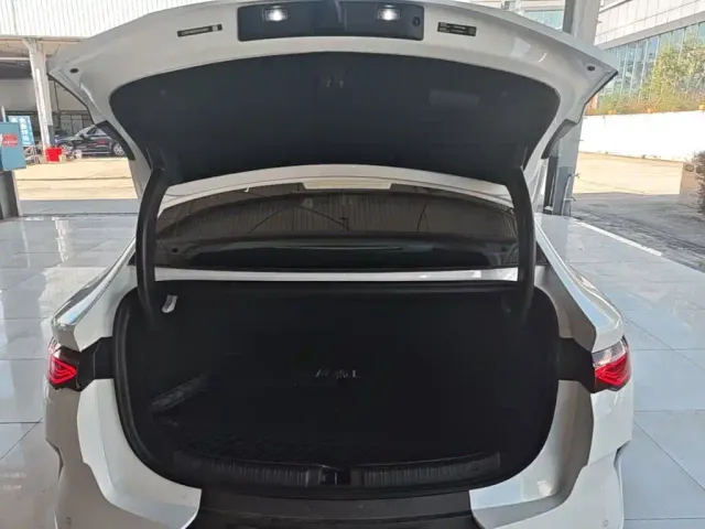 BYD Qin L — Фото автомобиля 18
