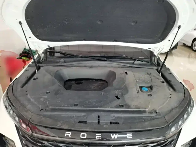 Roewe RX5 Max — Фото автомобиля 15