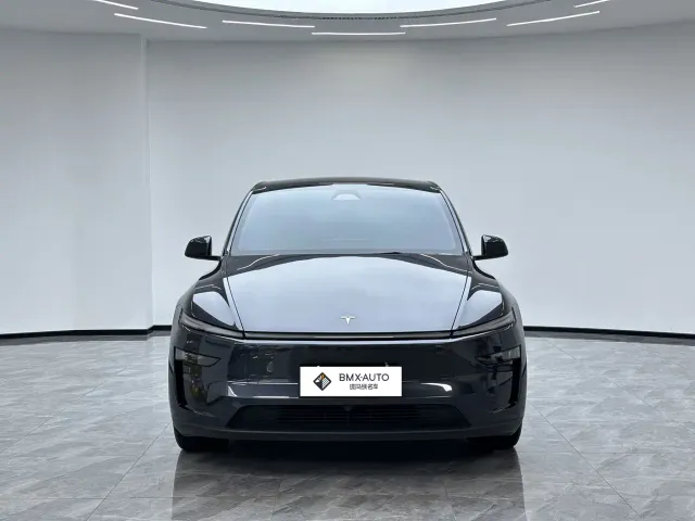 Tesla Model Y — Фото автомобиля 5
