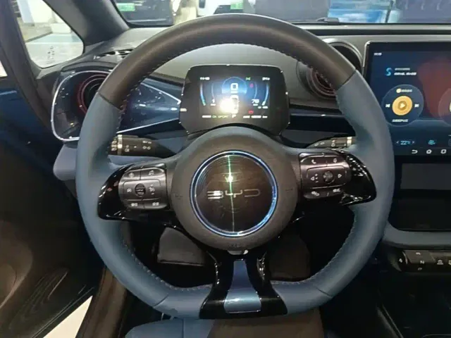 BYD Dolphin — Фото автомобиля 10