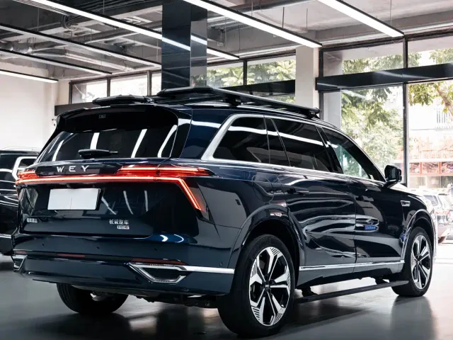 Wey Lanshan — Фото автомобиля 3