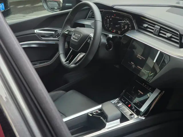 Audi e-tron — Фото автомобиля 14