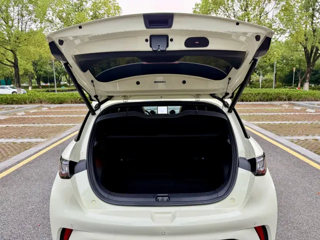 BYD Dolphin — Фото автомобиля 16