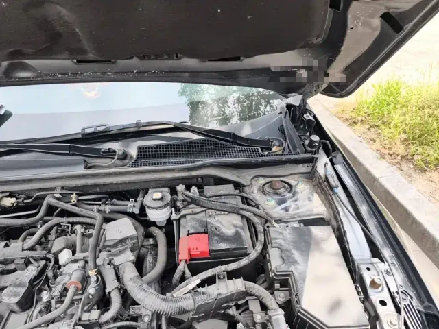 Honda Civic — Фото автомобиля 19