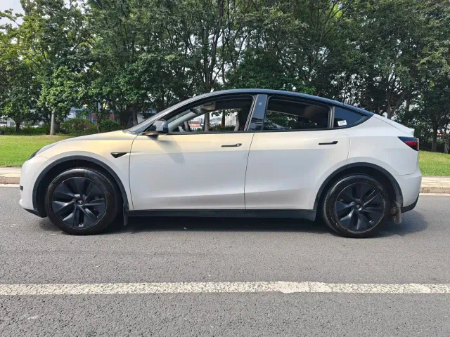 Tesla Model Y — Фото автомобиля 3