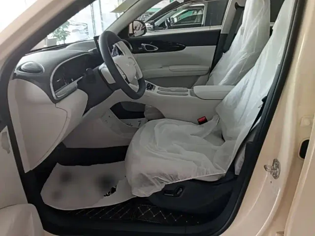 Geely Starry Wish — Фото автомобиля 14