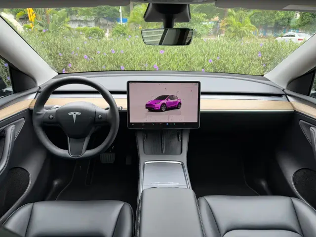 Tesla Model Y — Фото автомобиля 6