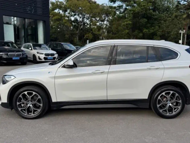 BMW X1 — Фото автомобиля 23