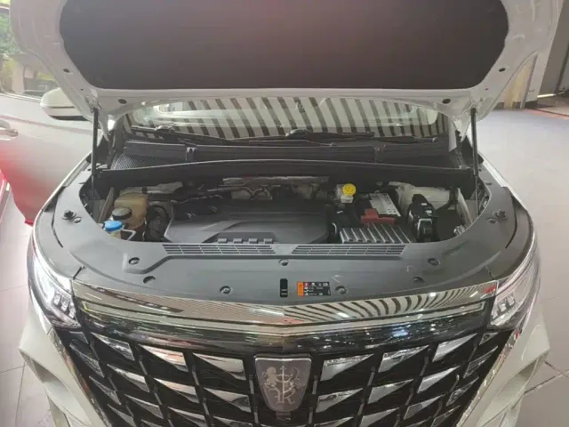 Roewe iMAX8 — Фото автомобиля 19