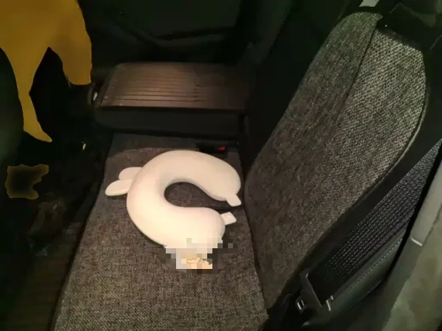 Tesla Model Y — Фото автомобиля 13