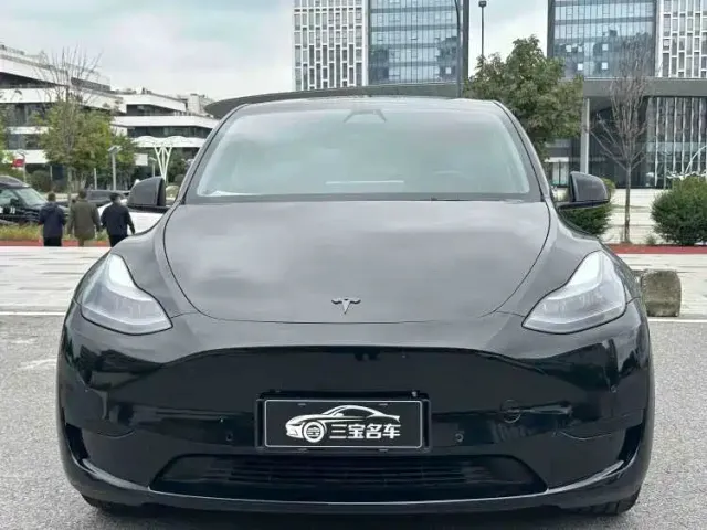 Tesla Model Y — Фото автомобиля 2