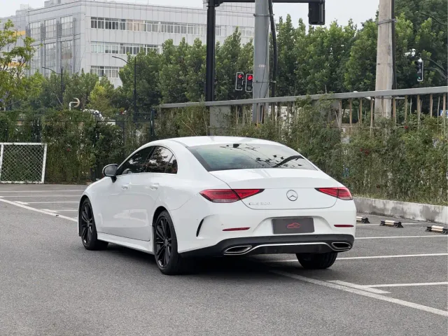 Mercedes-Benz CLS-Class — Фото автомобиля 6