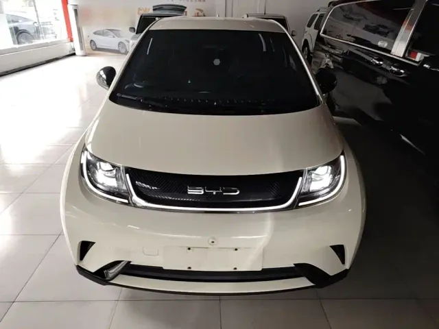 BYD Dolphin — Фото автомобиля 2