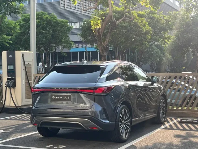 Lexus RX — Фото автомобиля 13