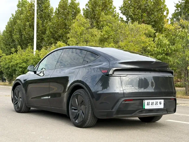 Tesla Model Y — Фото автомобиля 15
