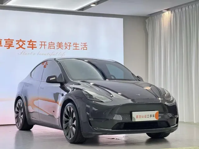 Tesla Model Y — Фото автомобиля 3