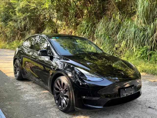 Tesla Model Y — Фото автомобиля 3